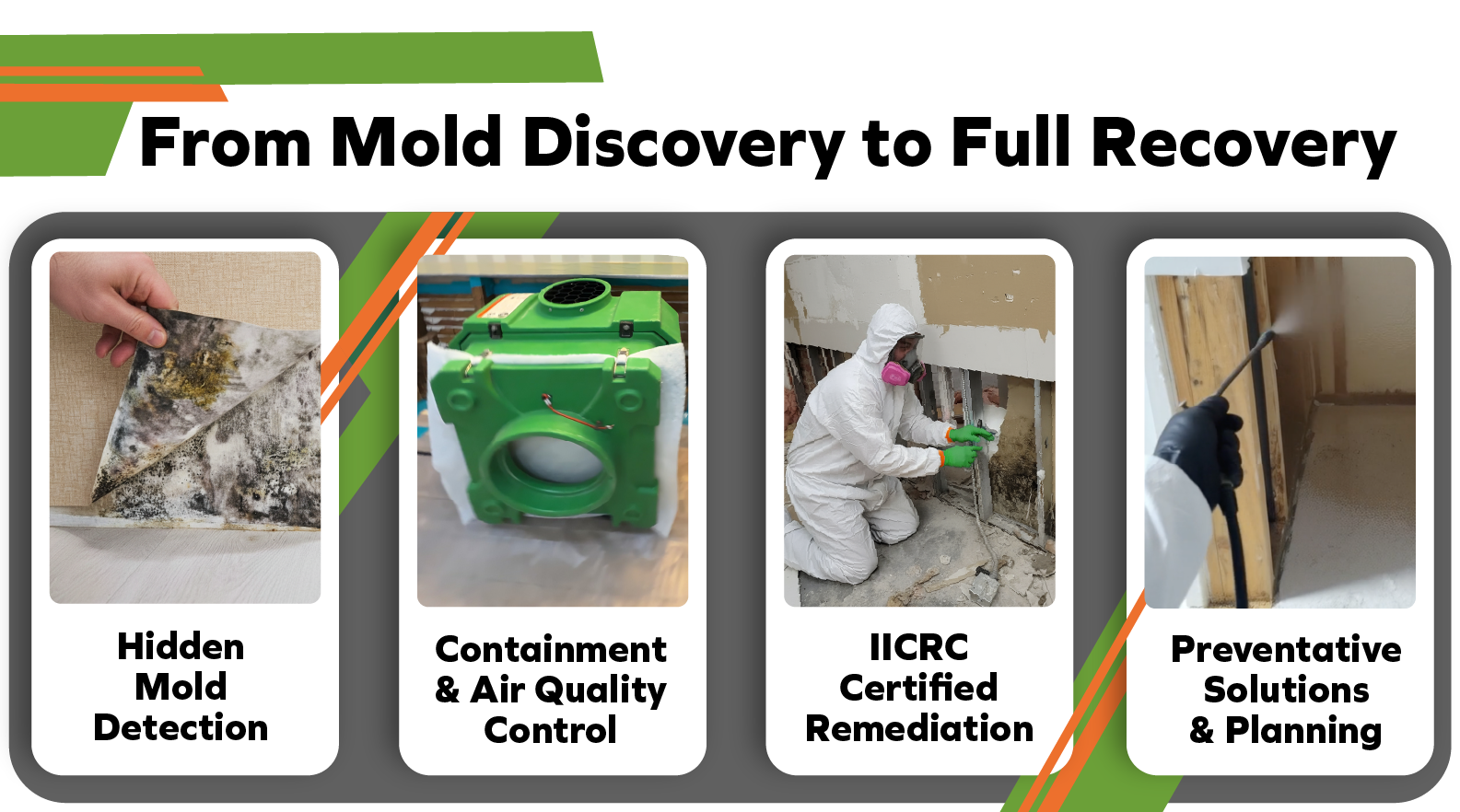 Mold Remediation you can trust. We identify, remove, and restore structural assets effected with mold.